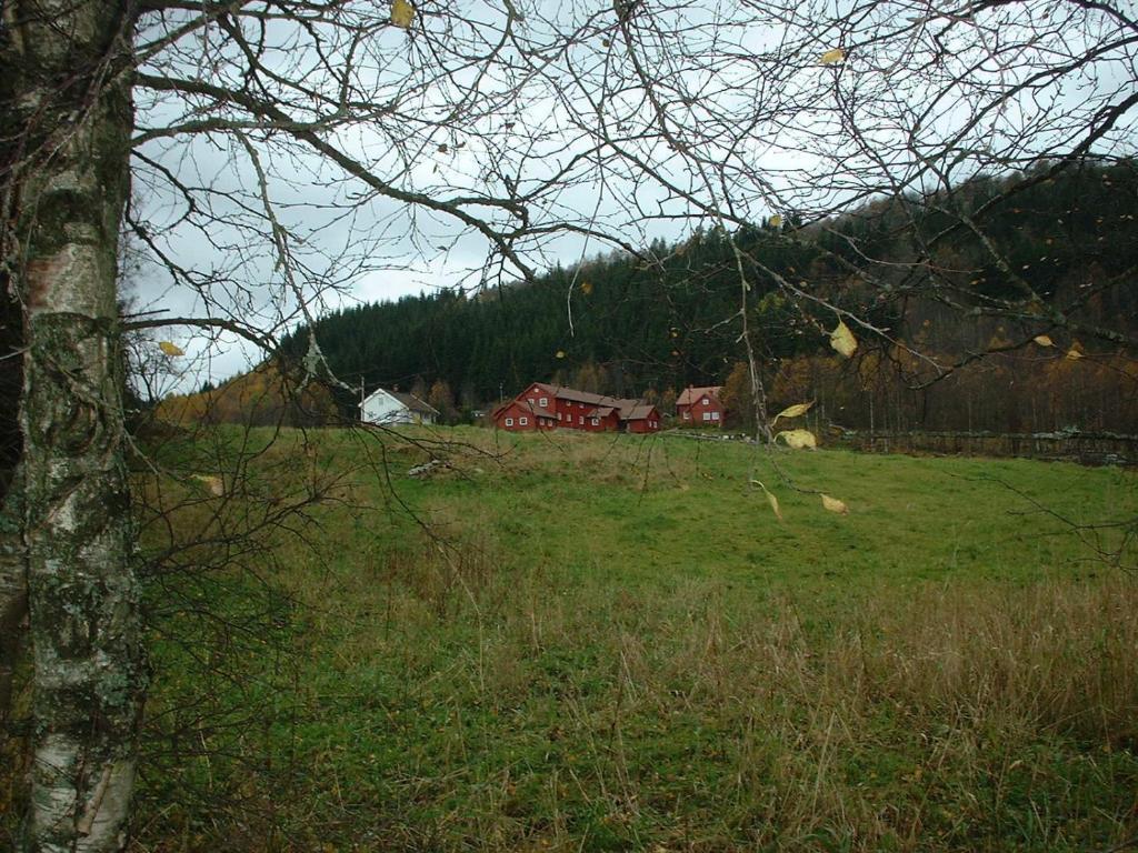 Heddan Gjestegard Tingvatn