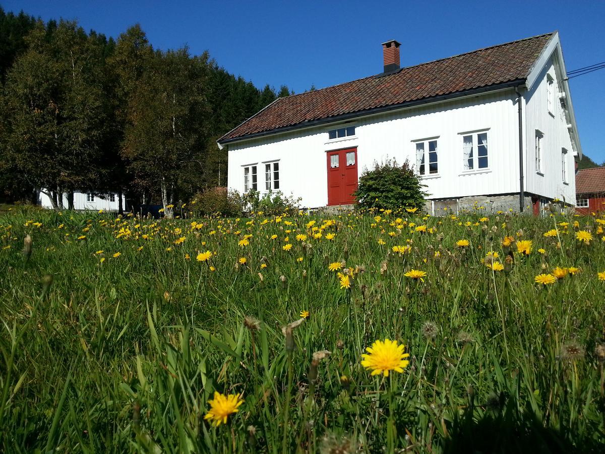 Pensionat Heddan Gjestegard Tingvatn